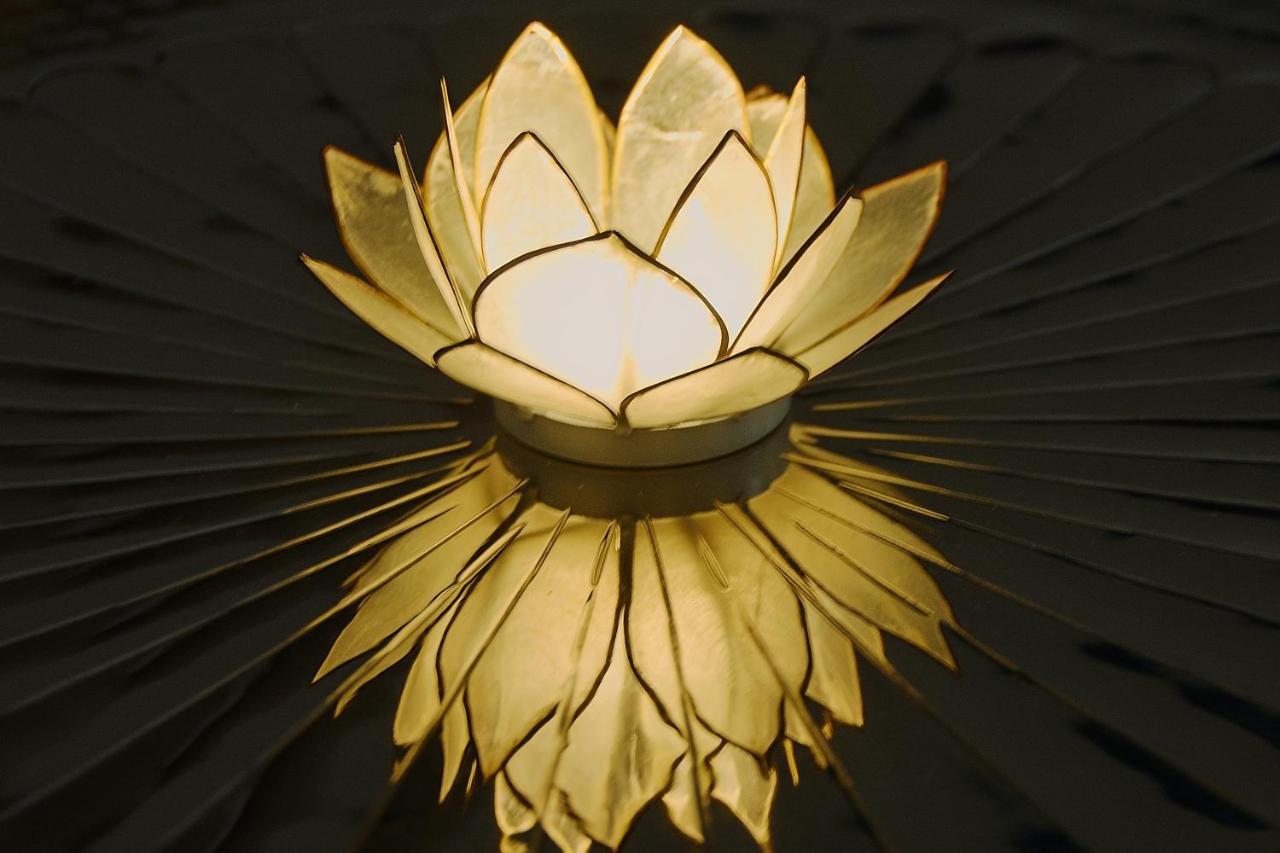 White Lotus Apartment Viyana Dış mekan fotoğraf